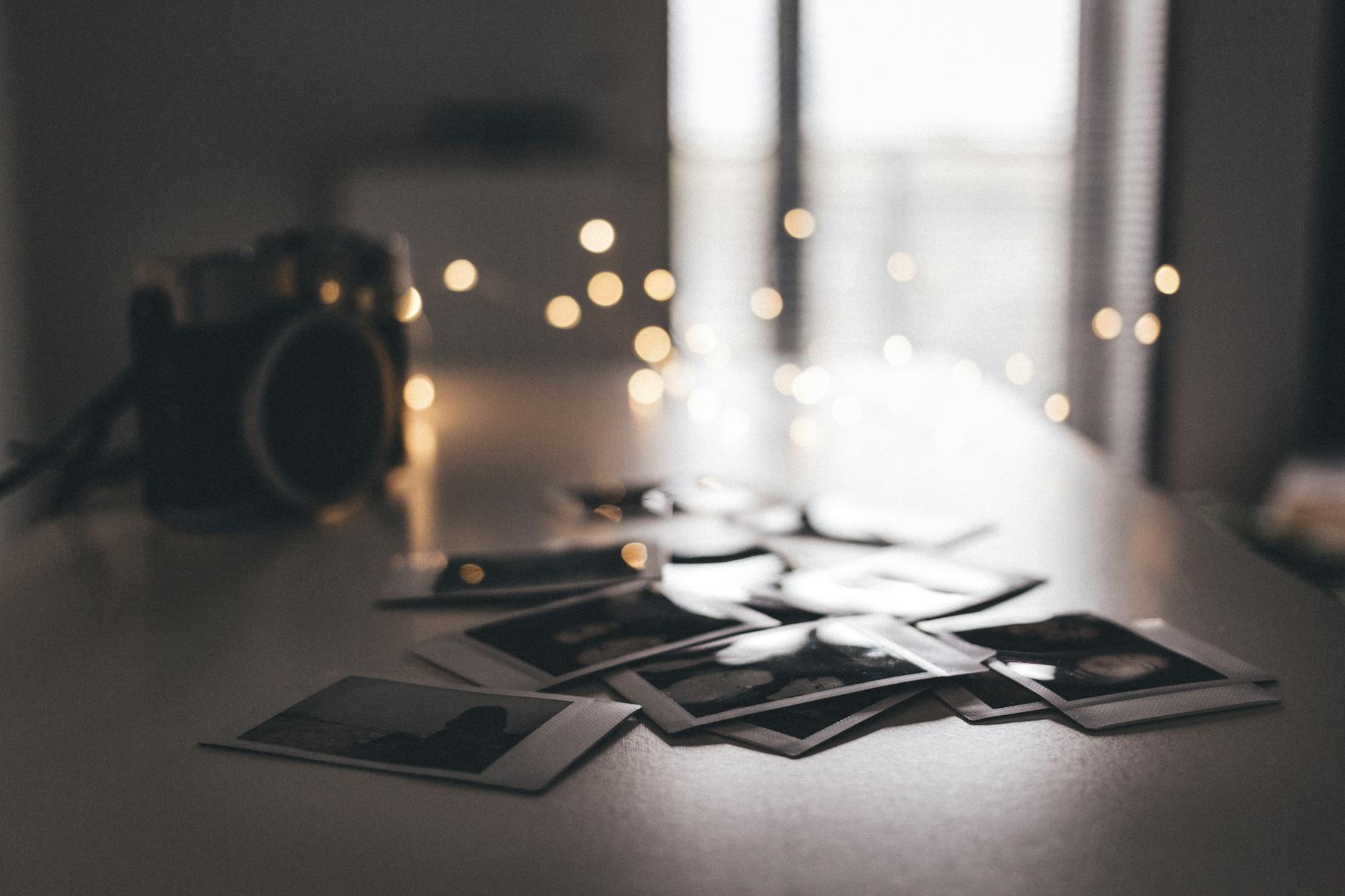 I Set Out to Organize 155,919 Photos. I Ended Up Organizing Memory