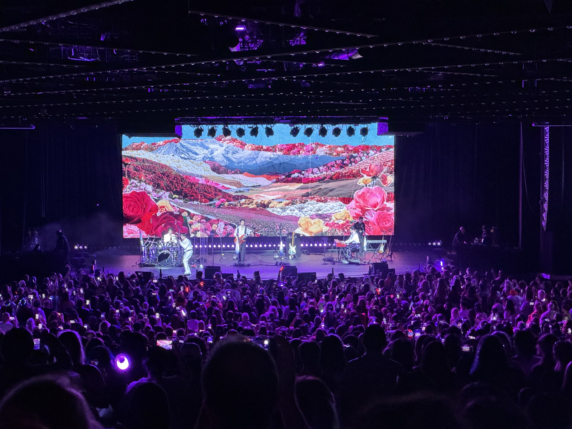 A live concert stage with a floral mountain landscape on the giant screen behind the band, and a crowd of silhouetted fans holding up phones.